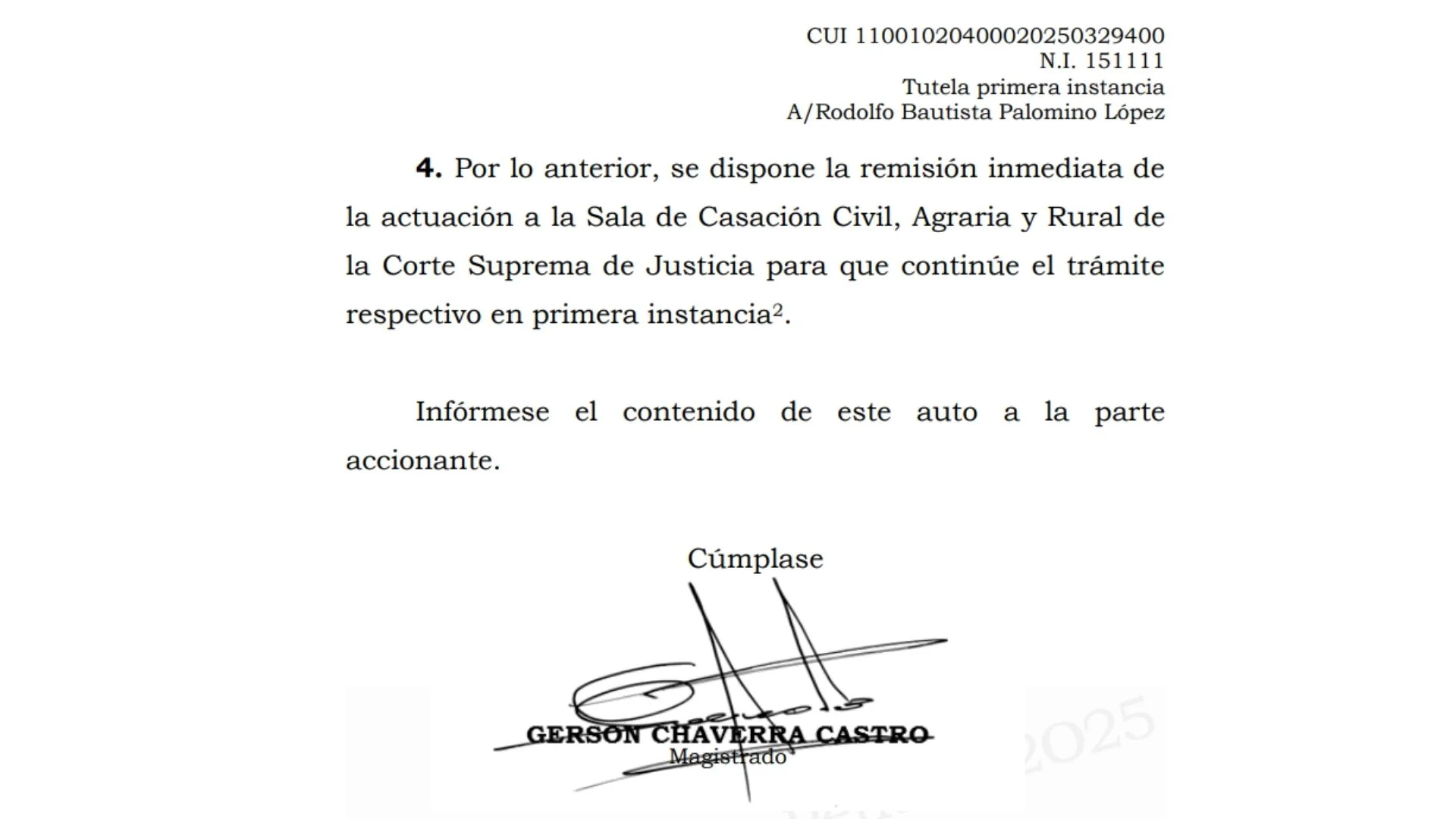 Auto de falta de competencia de la Sala Penal frente a la tutela de Rodolfo Palomino