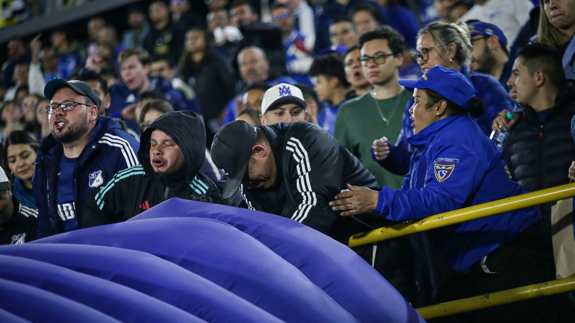 Hinchada de Millonarios