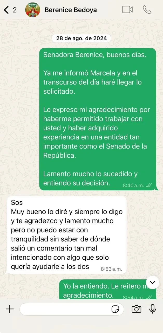 Chat 2 caso Berenice Bedoya