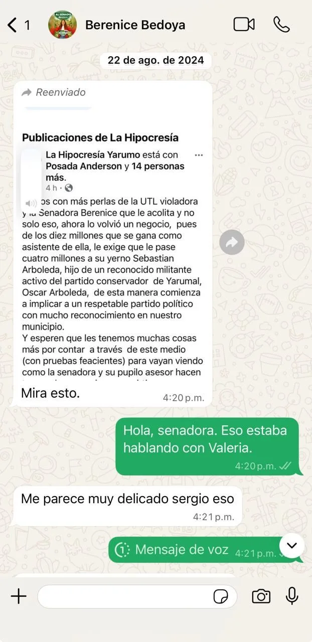 Chat 3 Caso Berenice Bedoya