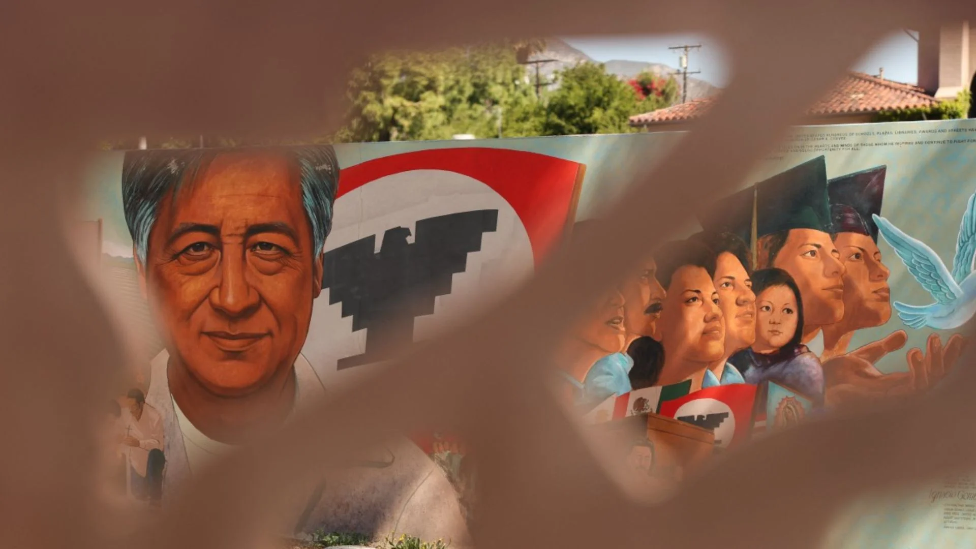 En su honor hay festivales a finales de abril, pero se cuestionan hacerlo, luego de la revelación de New York Times.