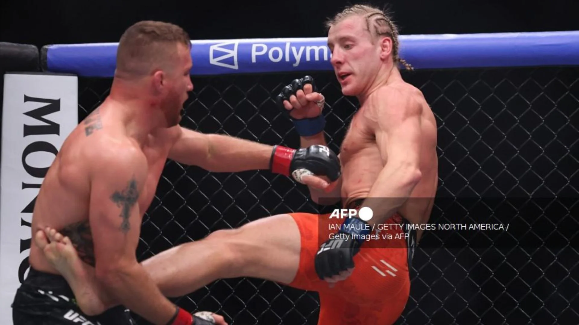 ufc pelea paddy