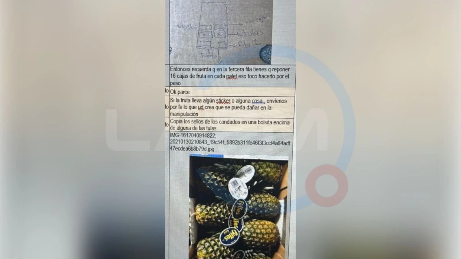 Además de coordinar la salida de cargamentos de cocaína a Europa, también dirigía la recepción de los pagos que los contactos internacionales realizaban al Clan del Golfo