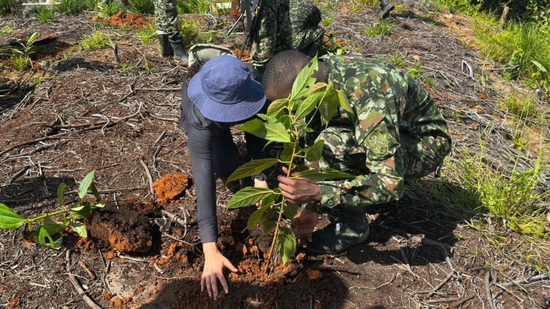 Jornadas ambientales del Ejército Nacional. 