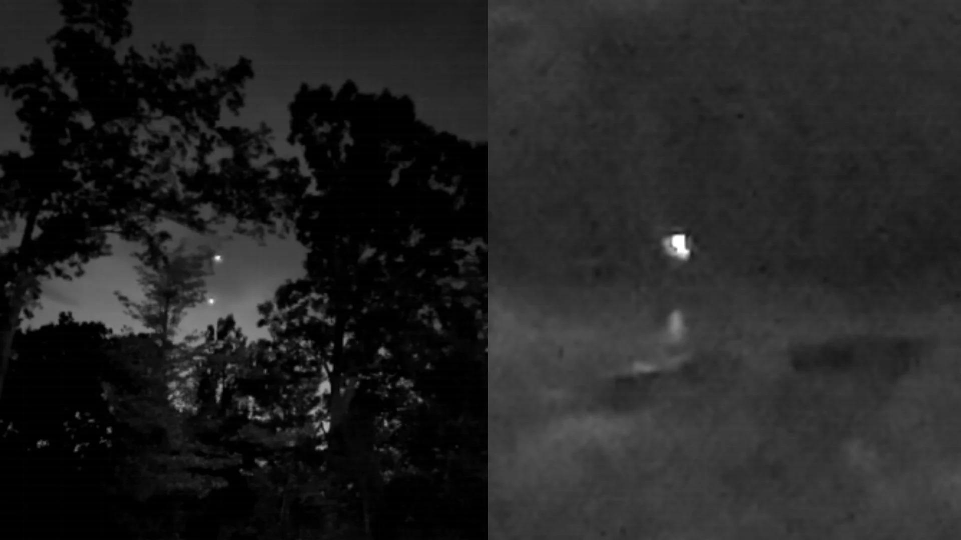 El Gobierno confirmó que en las próximas semanas podrían aparecer nuevos videos, reportes históricos y fotografías que todavía están siendo revisadas.